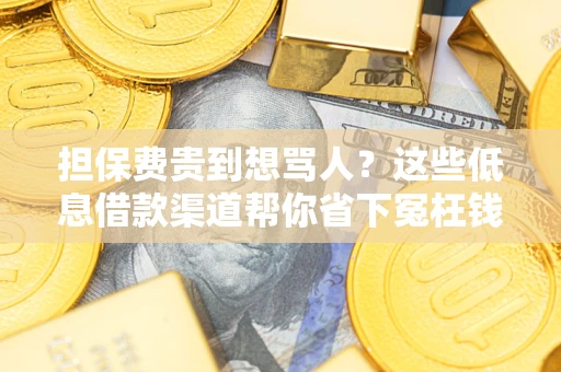 济南担保费贵到想骂人？这些低息借款渠道帮你省下冤枉钱