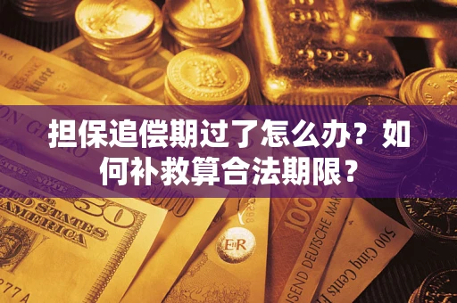 济南担保追偿期过了怎么办？如何补救算合法期限？