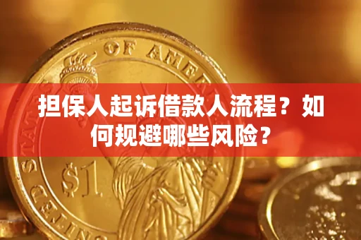 济南担保人起诉借款人流程？如何规避哪些风险？